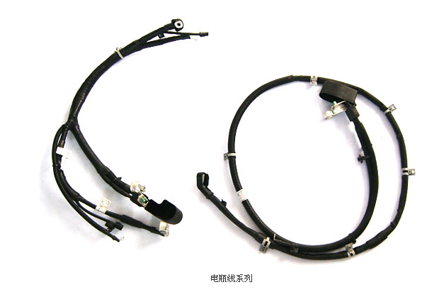 首页 - NG电子官方网站